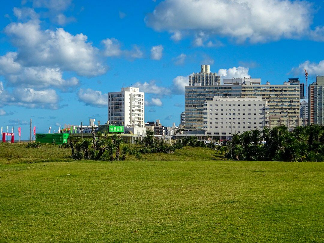 Punta del Este skyline with beach and marina