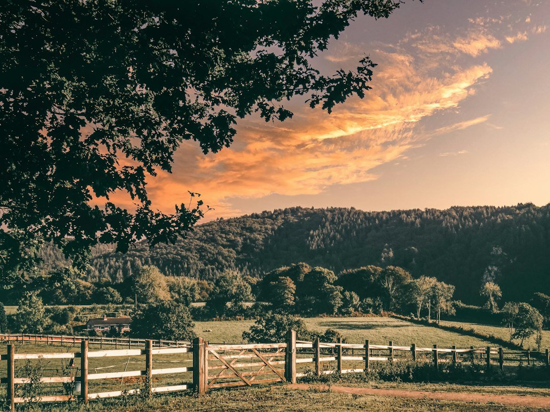 Open countryside and pastures near Manantiales at dusk